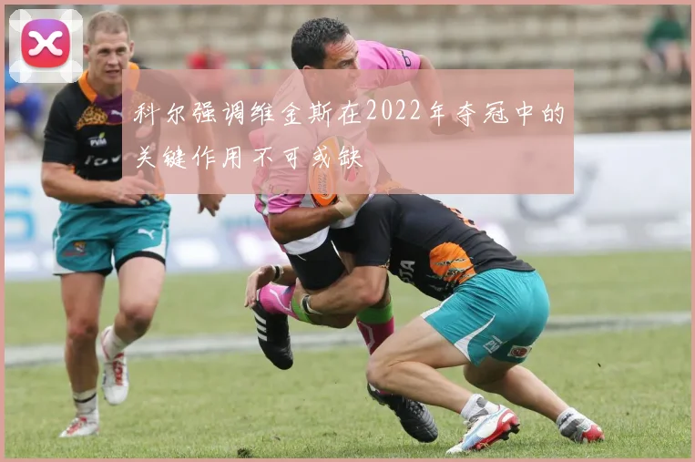 科尔强调维金斯在2022年夺冠中的关键作用不可或缺