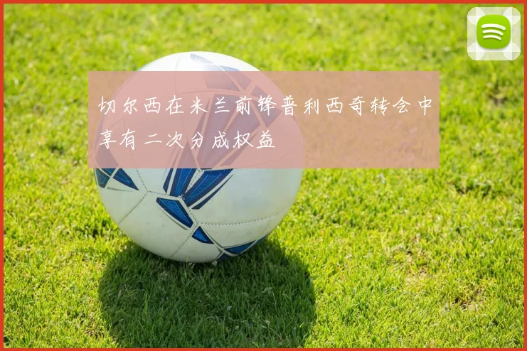 切尔西在米兰前锋普利西奇转会中享有二次分成权益