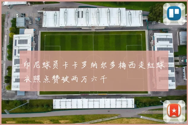印尼球员卡卡罗纳尔多梅西走红球衣照点赞破两万六千