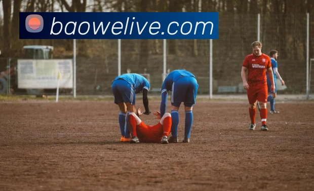 App Interface Preview