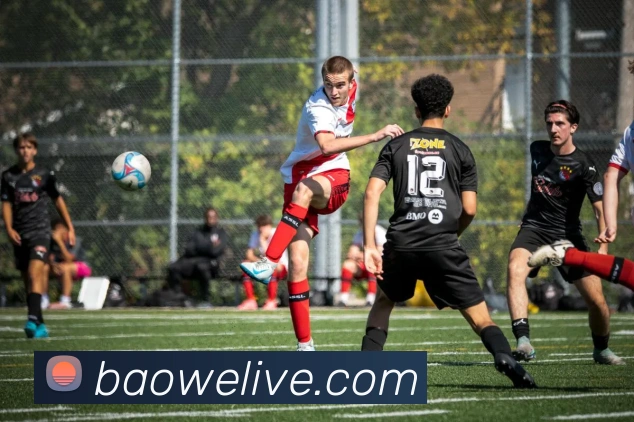 宝威体育APP 封面图